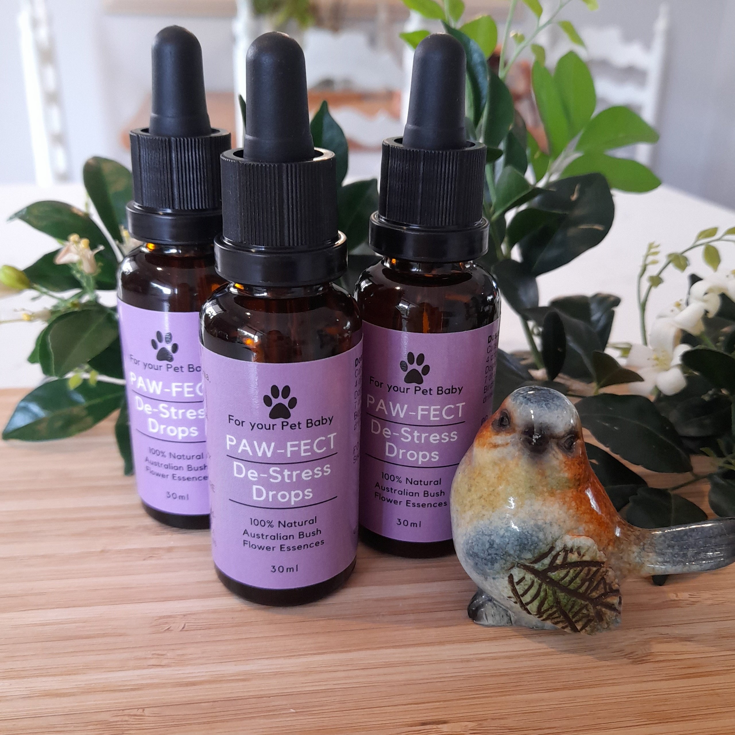 Australian Bush Flower Essences For Anxiety Best Flower Site