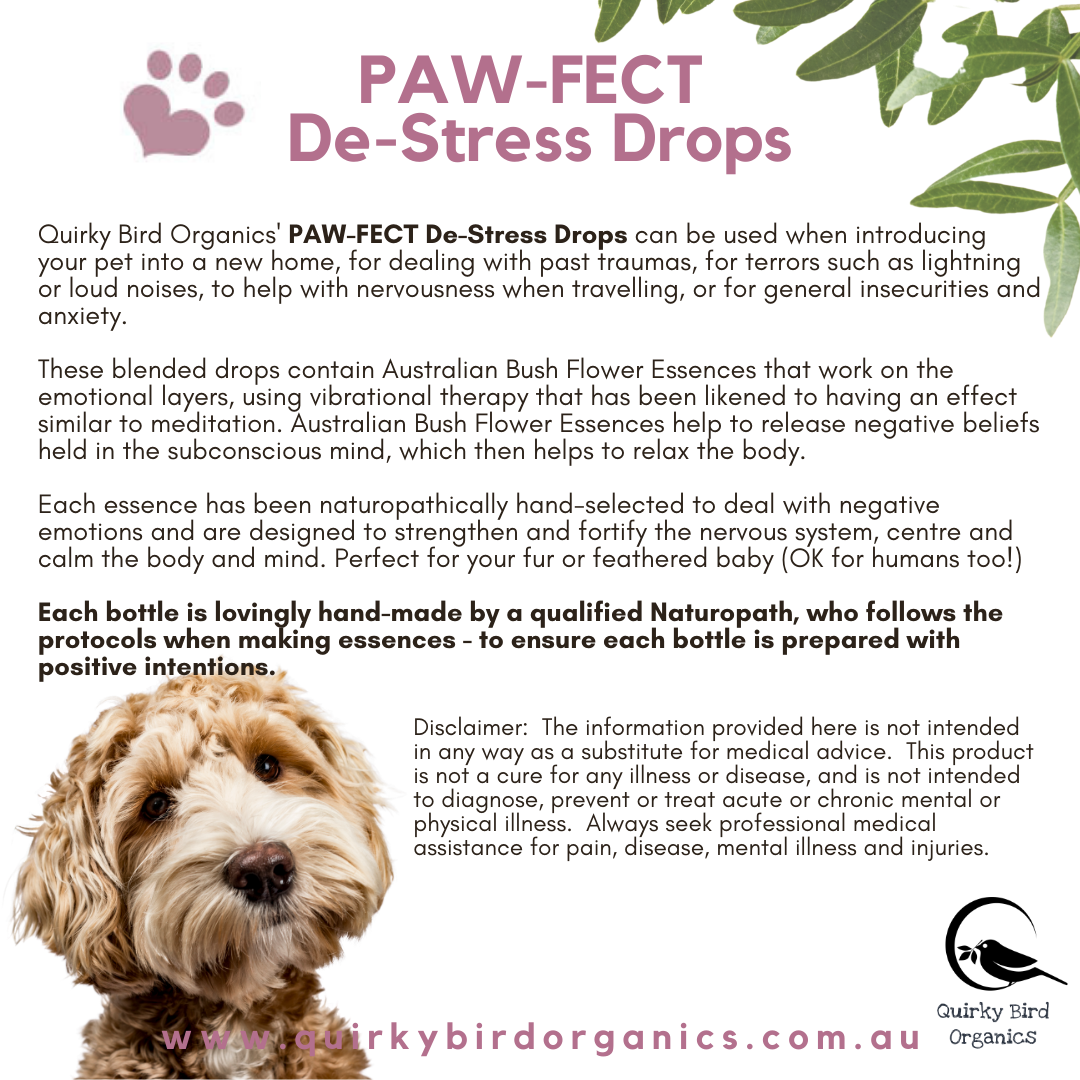 Australian Bush Flower Essences For Anxiety Best Flower Site